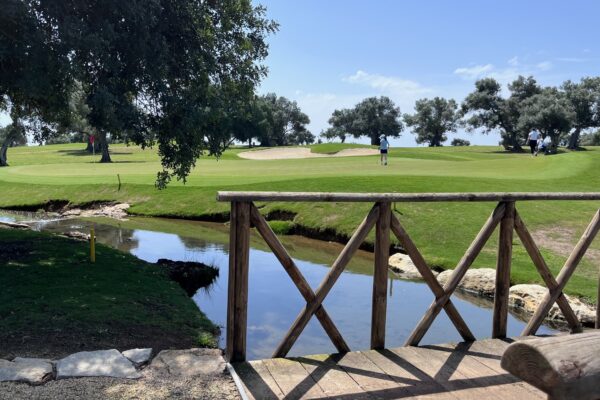 Quinta de Cima
